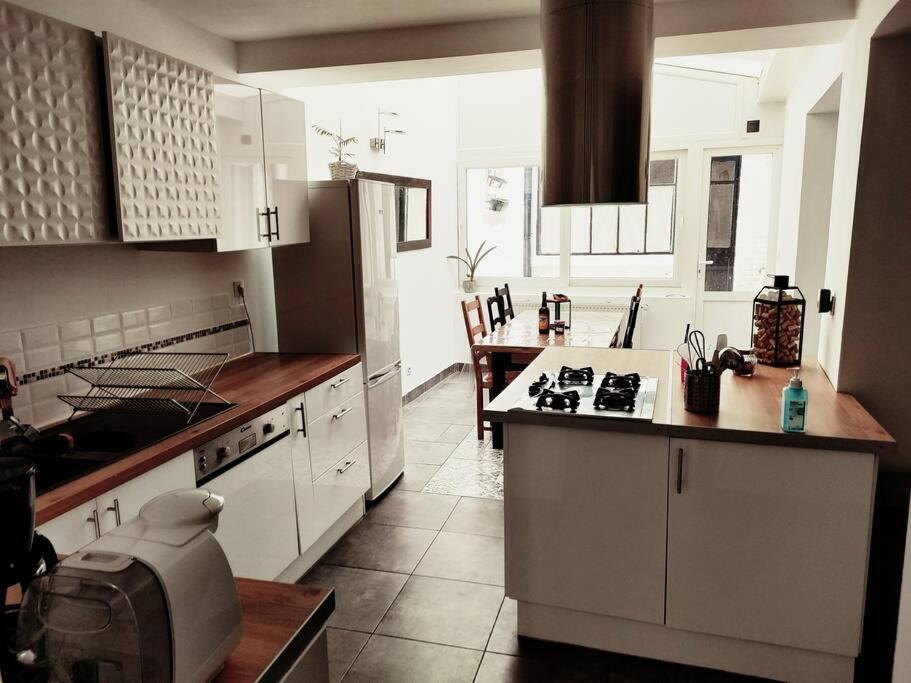 Superbe Maison Renovee Avec Agreable Jardin Sainte-Catherine  Zewnętrze zdjęcie
